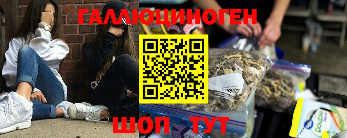 Псилоцибиновые грибы мицелий Сарапул