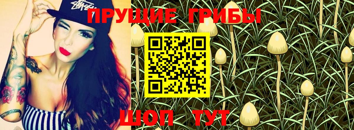 Псилоцибиновые грибы Psilocybe  Галлюциногенные грибы прущие грибы  Сарапул  Вход с VPN 